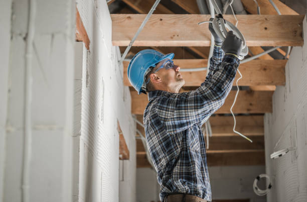 Best Electrical Repair Services  in Algonquin, IL